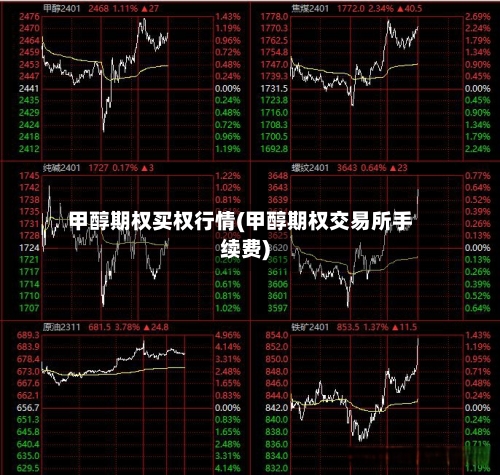 甲醇期权买权行情(甲醇期权交易所手续费)-第3张图片