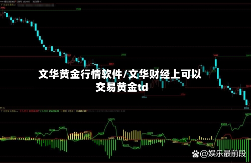 文华黄金行情软件/文华财经上可以交易黄金td-第3张图片