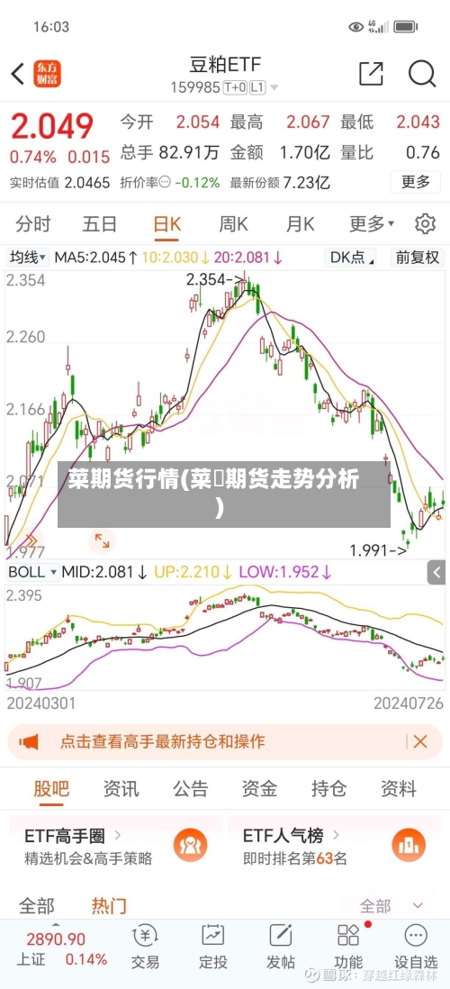 菜期货行情(菜粨期货走势分析)-第2张图片