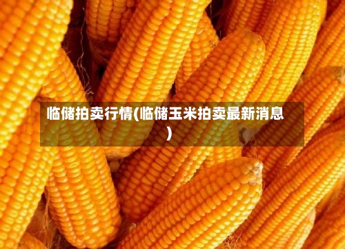 临储拍卖行情(临储玉米拍卖最新消息)