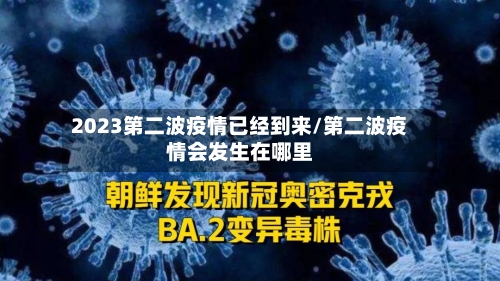 2023第二波疫情已经到来/第二波疫情会发生在哪里-第3张图片