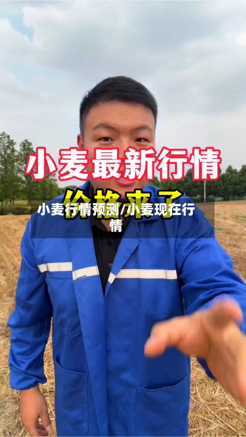小麦行情预测/小麦现在行情-第2张图片