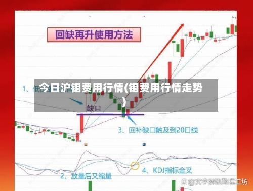 今日沪钼费用行情(钼费用行情走势)-第2张图片