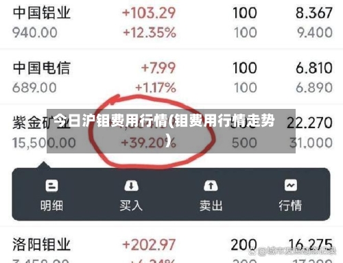 今日沪钼费用行情(钼费用行情走势)