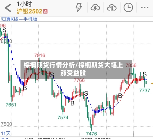 棕榈期货行情分析/棕榈期货大幅上涨受益股-第2张图片