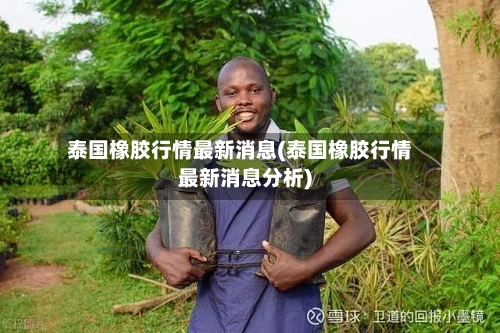 泰国橡胶行情最新消息(泰国橡胶行情最新消息分析)