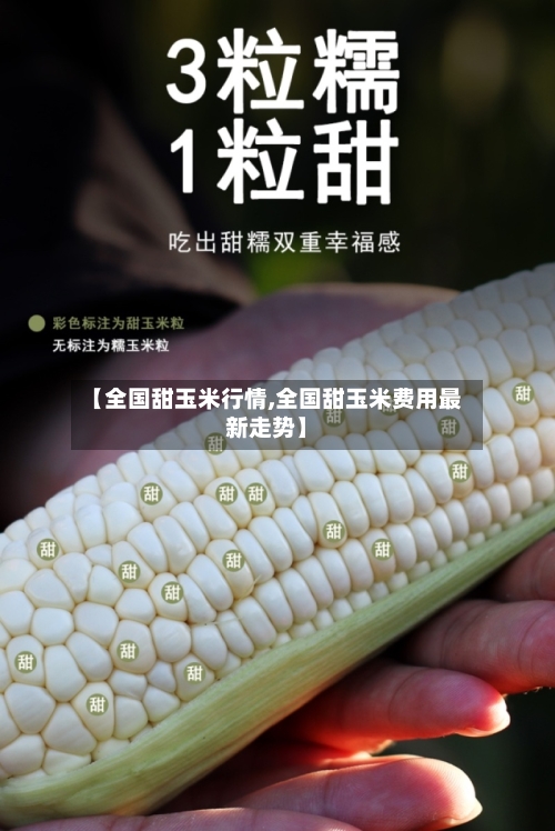 【全国甜玉米行情,全国甜玉米费用最新走势】-第3张图片