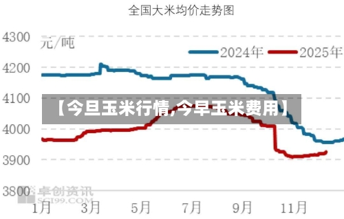【今旦玉米行情,今早玉米费用】