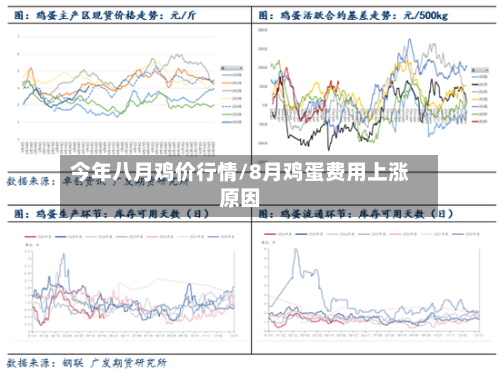 今年八月鸡价行情/8月鸡蛋费用上涨原因