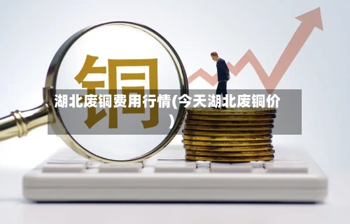 湖北废铜费用行情(今天湖北废铜价)