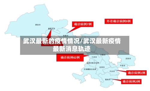 武汉最新的疫情情况/武汉最新疫情最新消息轨迹