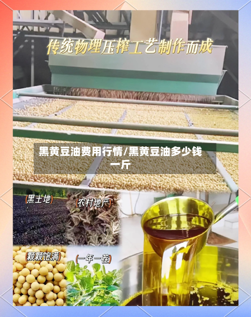 黑黄豆油费用行情/黑黄豆油多少钱一斤