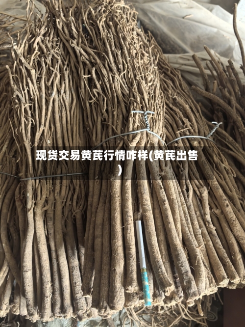 现货交易黄芪行情咋样(黄芪出售)-第2张图片