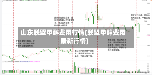 山东联盟甲醇费用行情(联盟甲醇费用最新行情)