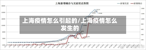 上海疫情怎么引起的/上海疫情怎么发生的-第2张图片