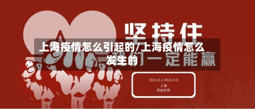 上海疫情怎么引起的/上海疫情怎么发生的-第3张图片