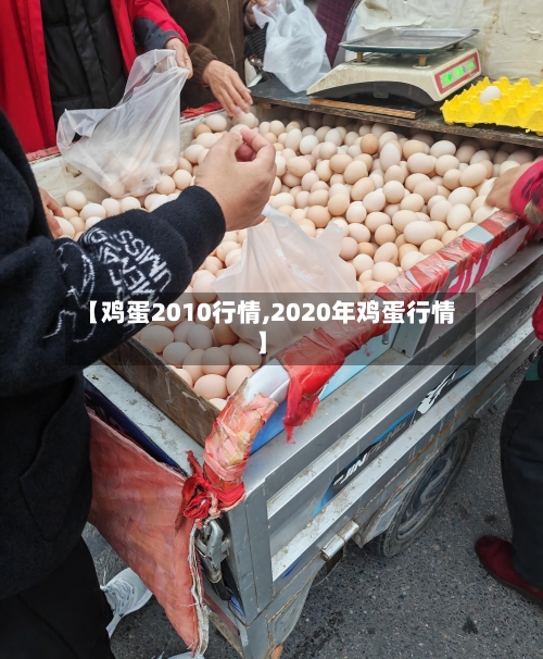 【鸡蛋2010行情,2020年鸡蛋行情】