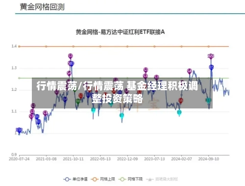 行情震荡/行情震荡 基金经理积极调整投资策略