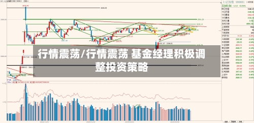 行情震荡/行情震荡 基金经理积极调整投资策略-第2张图片