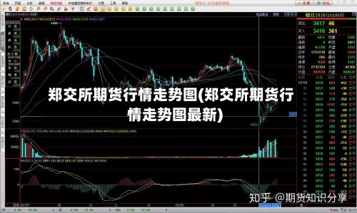 郑交所期货行情走势图(郑交所期货行情走势图最新)