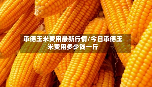 承德玉米费用最新行情/今日承德玉米费用多少钱一斤