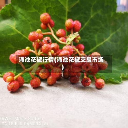 渑池花椒行情(渑池花椒交易市场)-第2张图片
