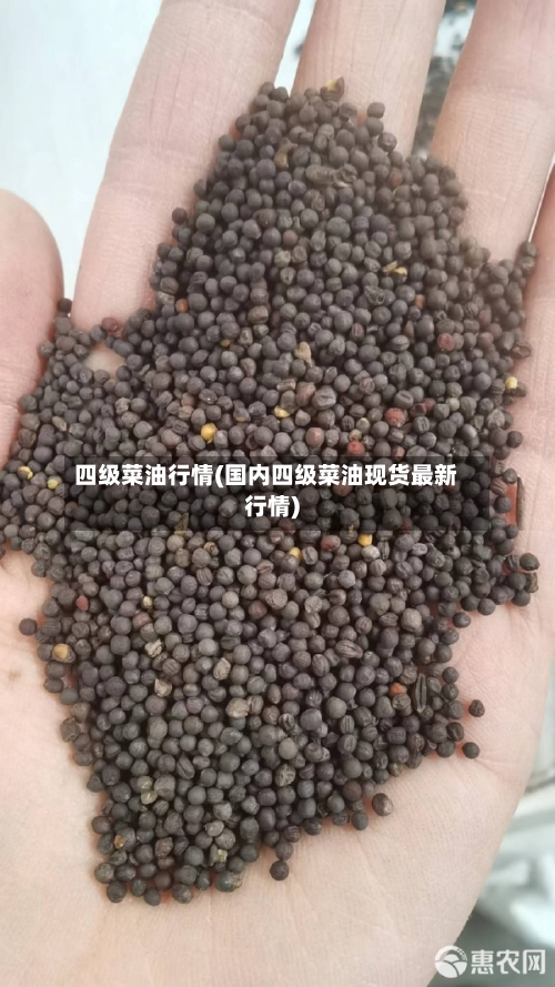 四级菜油行情(国内四级菜油现货最新行情)-第2张图片