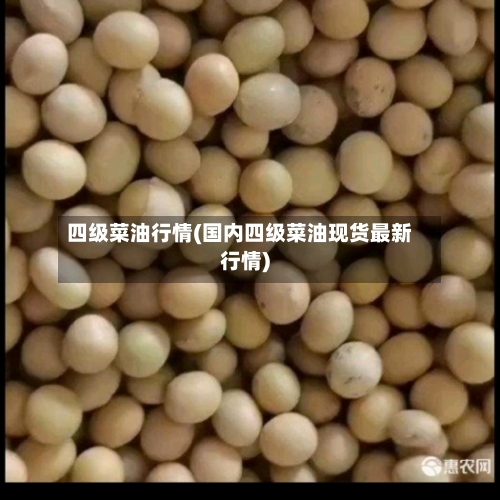 四级菜油行情(国内四级菜油现货最新行情)