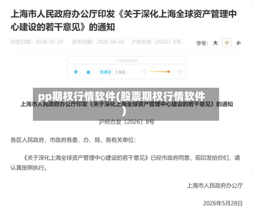 pp期权行情软件(股票期权行情软件)-第2张图片