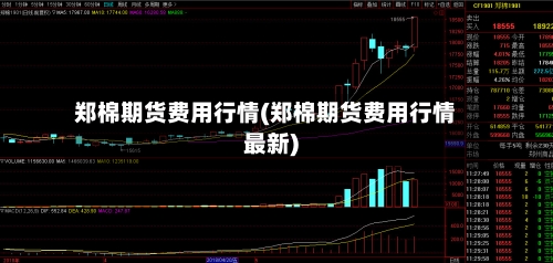 郑棉期货费用行情(郑棉期货费用行情最新)-第2张图片