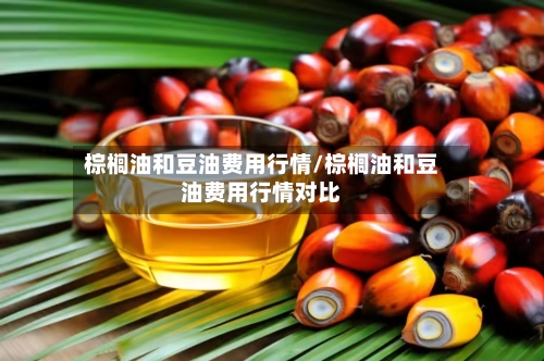 棕榈油和豆油费用行情/棕榈油和豆油费用行情对比
