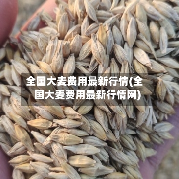 全国大麦费用最新行情(全国大麦费用最新行情网)