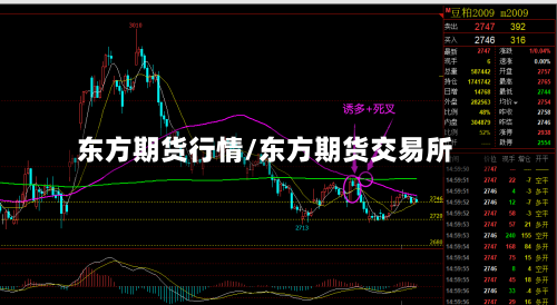 东方期货行情/东方期货交易所-第3张图片