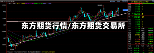 东方期货行情/东方期货交易所-第2张图片