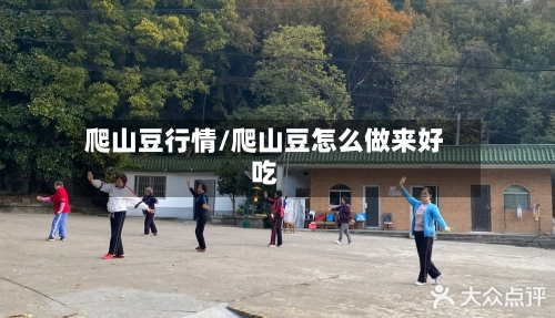 爬山豆行情/爬山豆怎么做来好吃-第2张图片