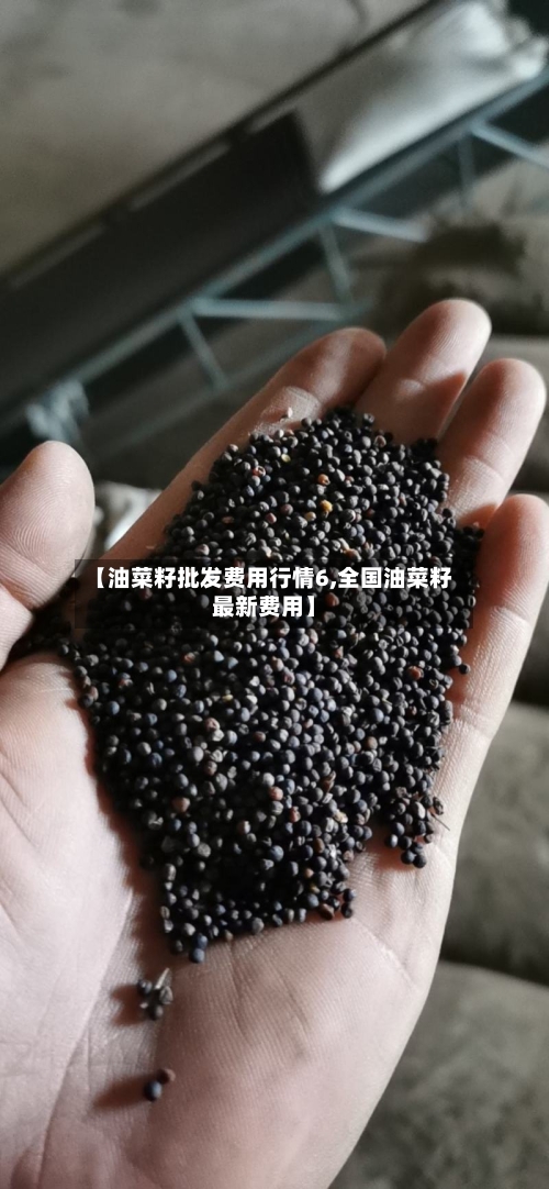 【油菜籽批发费用行情6,全国油菜籽最新费用】-第3张图片