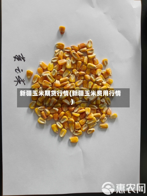 新疆玉米期货行情(新疆玉米费用行情)-第3张图片