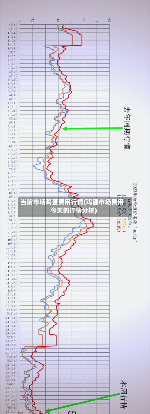 当前市场鸡蛋费用行情(鸡蛋市场费用今天的行情分析)