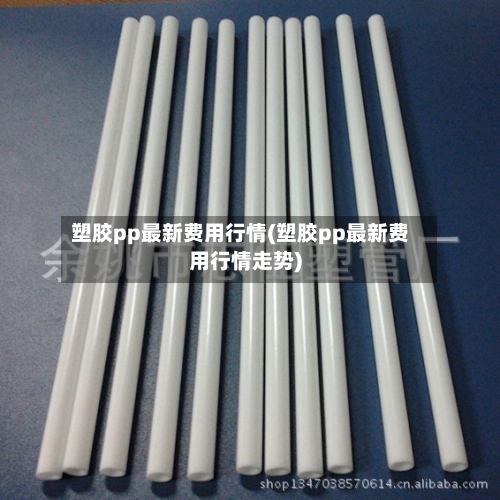 塑胶pp最新费用行情(塑胶pp最新费用行情走势)-第2张图片