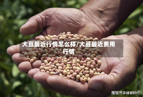 大豆最近行情怎么样/大豆最近费用行情-第2张图片