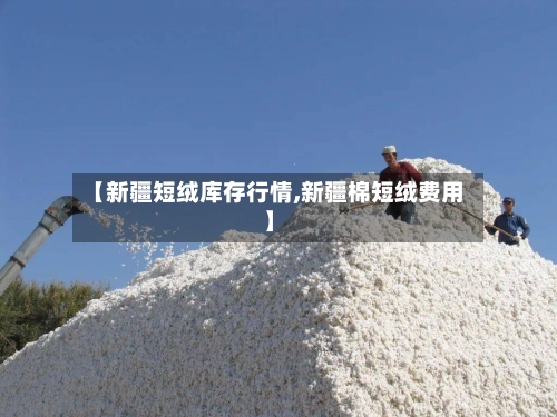 【新疆短绒库存行情,新疆棉短绒费用】-第3张图片