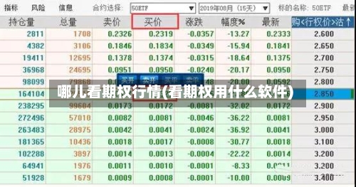 哪儿看期权行情(看期权用什么软件)