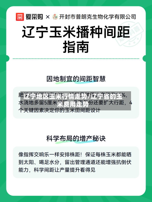 辽宁地区玉米行情走势/辽宁省的玉米费用走势