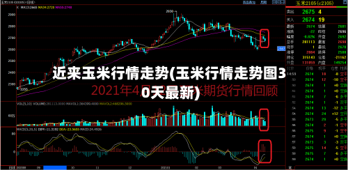 近来玉米行情走势(玉米行情走势图30天最新)