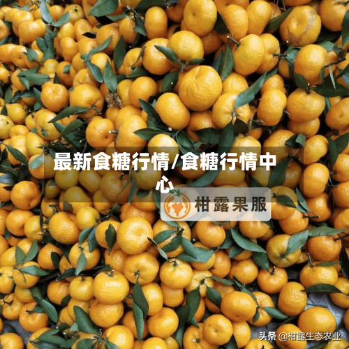 最新食糖行情/食糖行情中心