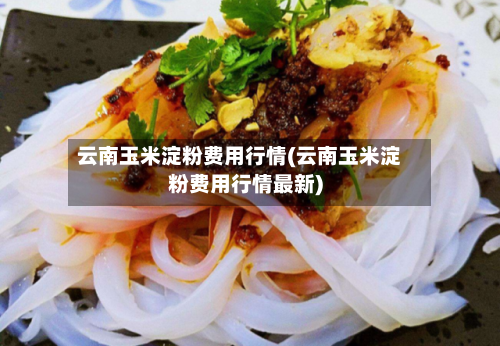云南玉米淀粉费用行情(云南玉米淀粉费用行情最新)-第3张图片