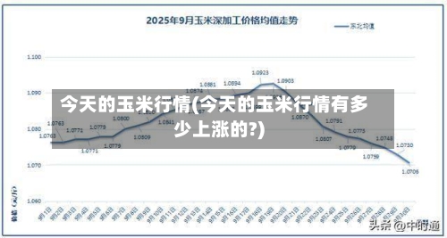 今天的玉米行情(今天的玉米行情有多少上涨的?)-第2张图片