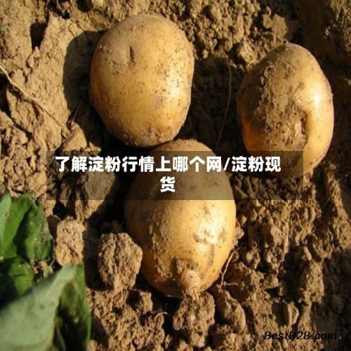 了解淀粉行情上哪个网/淀粉现货