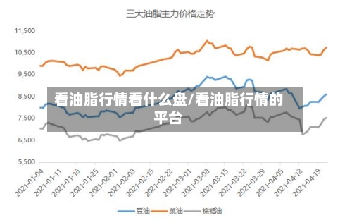 看油脂行情看什么盘/看油脂行情的平台-第2张图片