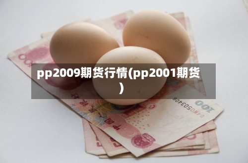pp2009期货行情(pp2001期货)-第3张图片